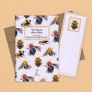 View ‘Ten Poems about Bees’ group shot Group image of the Ten Poems about Bees poetry pamphlet on a decorative background