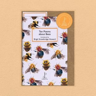 View ‘Ten Poems about Bees’ pack shot Pack image of the Ten Poems about Bees poetry pamphlet on a decorative background