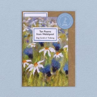 View ‘Ten Poems from Welshpool: Deg Cerdd o’r Trallwng’ pack shot Pack image of the Ten Poems from Welshpool: Deg Cerdd o’r Trallwng poetry pamphlet on a decorative background