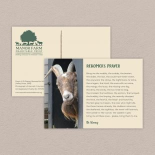 View ‘Twenty-One Poems about Wonky Animals’ postcard Postcard included with the Twenty-One Poems about Wonky Animals poetry pamphlet on a decorative background