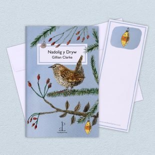 Group image of the Nadolig y Dryw (The Christmas Wren): by Gillian Clarke poetry pamphlet on a decorative background