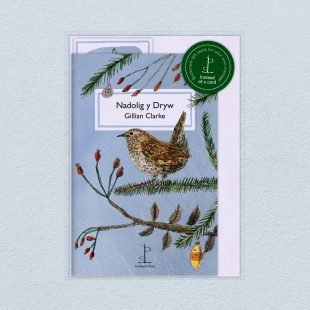 Pack image of the Nadolig y Dryw (The Christmas Wren): by Gillian Clarke poetry pamphlet on a decorative background