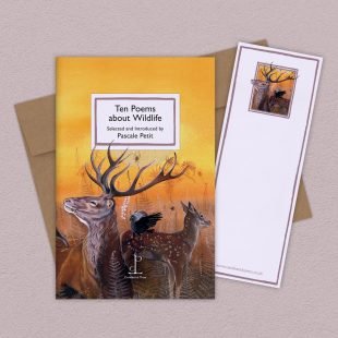 View ‘Ten Poems about Wildlife’ group shot Group image of the Ten Poems about Wildlife poetry pamphlet on a decorative background