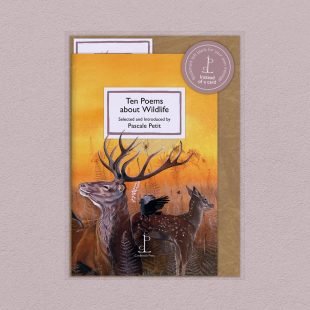 View ‘Ten Poems about Wildlife’ pack shot Pack image of the Ten Poems about Wildlife poetry pamphlet on a decorative background