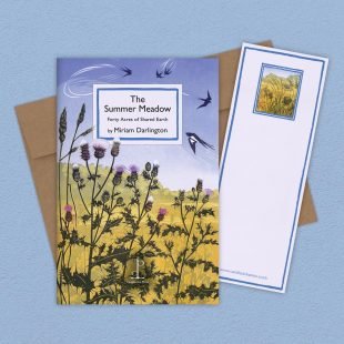 View ‘The Summer Meadow: Forty Acres of Shared Earth - by Miriam Darlington’ group shot Group image of the The Summer Meadow: Forty Acres of Shared Earth - by Miriam Darlington poetry pamphlet on a decorative background