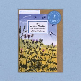 View ‘The Summer Meadow: Forty Acres of Shared Earth - by Miriam Darlington’ pack shot Pack image of the The Summer Meadow: Forty Acres of Shared Earth - by Miriam Darlington poetry pamphlet on a decorative background