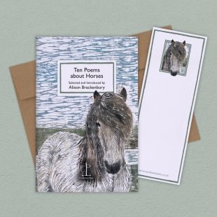 View ‘Ten Poems about Horses’ group shot Group image of the Ten Poems about Horses poetry pamphlet on a decorative background
