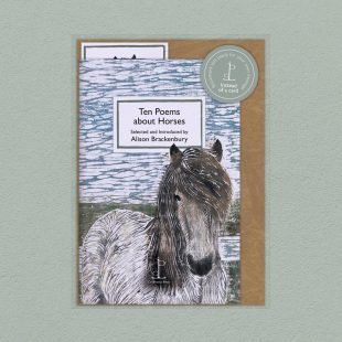 View ‘Ten Poems about Horses’ pack shot Pack image of the Ten Poems about Horses poetry pamphlet on a decorative background
