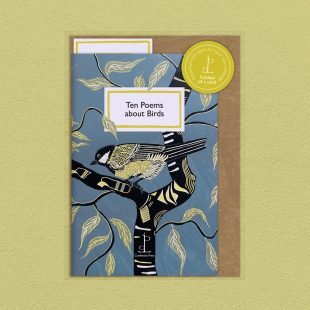 View ‘Ten Poems about Birds’ pack shot Pack image of the Ten Poems about Birds poetry pamphlet on a decorative background