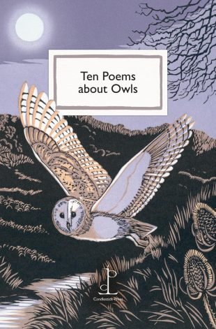 Front cover of the Ten Poems about Owls poetry pamphlet
