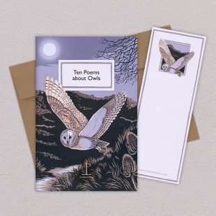 View ‘Ten Poems about Owls’ group shot Group image of the Ten Poems about Owls poetry pamphlet on a decorative background