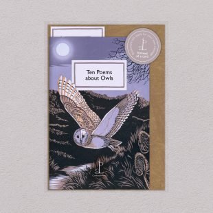View ‘Ten Poems about Owls’ pack shot Pack image of the Ten Poems about Owls poetry pamphlet on a decorative background