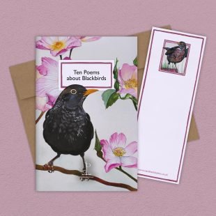 Group image of the Ten Poems about Blackbirds poetry pamphlet on a decorative background