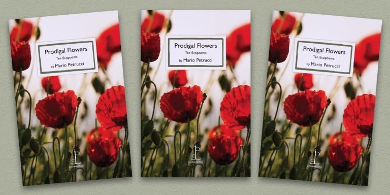 Three front covers of the Prodigal Flowers poetry pamphlet on a decorative background