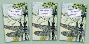 Three front covers of the Wild Devotion poetry pamphlet on a decorative background