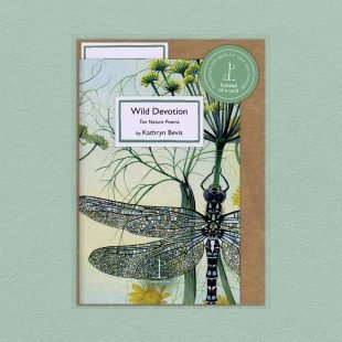 Pack image of the Wild Devotion: Ten Nature Poems - by Kathryn Bevis poetry pamphlet on a decorative background